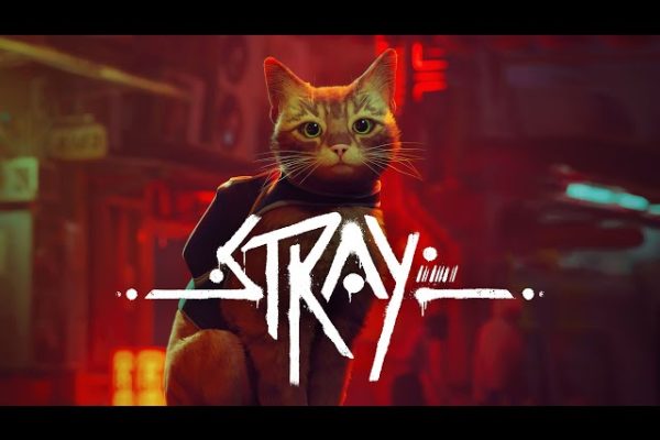 STRAY O JOGO DO GATO XBOX ONE SERIE S X PS5 PS4 STEAM